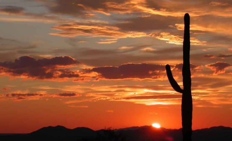 Casa Grande AZ USA ZG Zimply Global